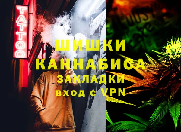 PSILOCYBIN Алзамай