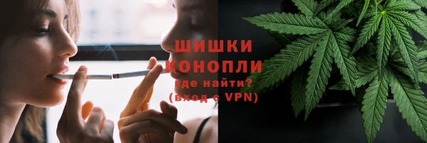 PSILOCYBIN Алзамай