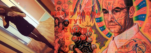 PSILOCYBIN Алзамай