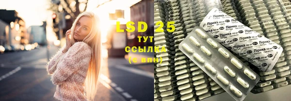 PSILOCYBIN Алзамай
