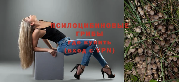 PSILOCYBIN Алзамай
