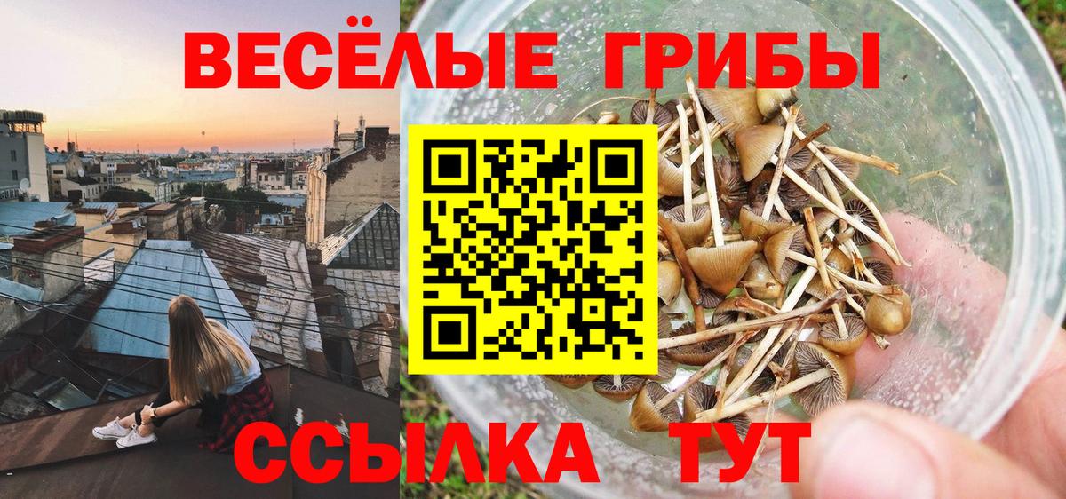 Петровск  Галлюциногенные грибы Magic Shrooms  Вход с VPN 