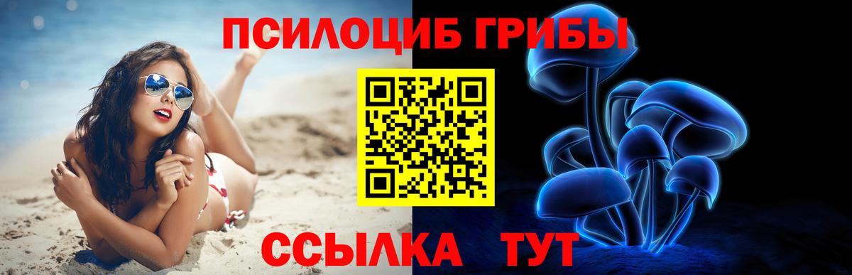 Псилоцибиновые грибы Magic Shrooms Петровск
